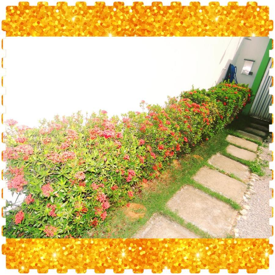 Msm & Suites Natal